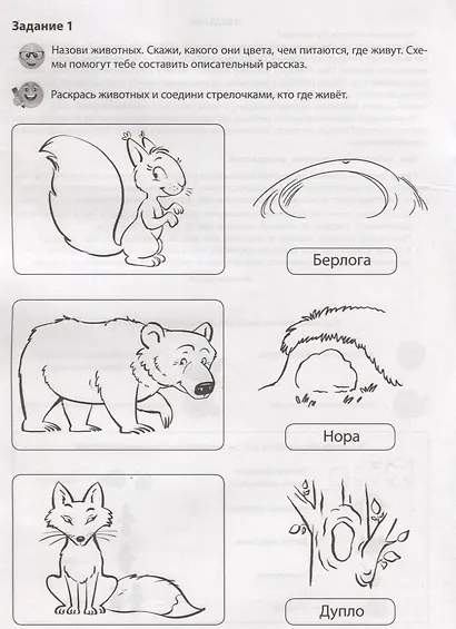 Дикие животные. Речевая раскраска - фото 3