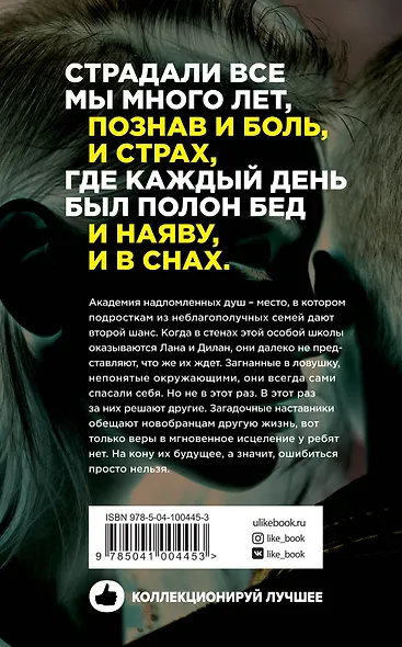Надломленные души - фото 2