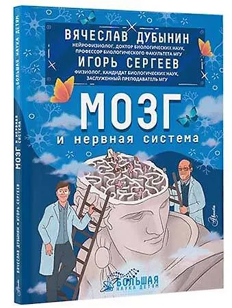Мозг и нервная система - фото 3