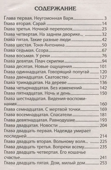 Возвращение рыжего - фото 2