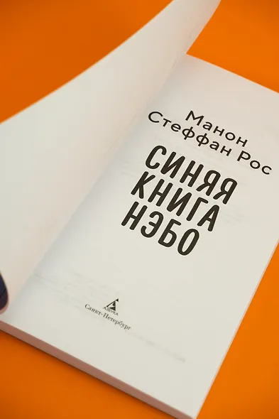 Синяя книга Нэбо - фото 14