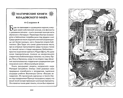 Гарри Поттер и Принц-полукровка (Слизерин) - фото 11