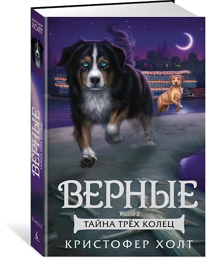Верные. Книга 2. Тайна трёх колец - фото 3