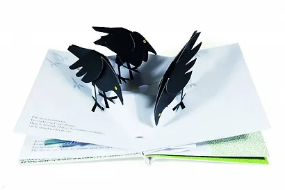 Орешек - фото 5