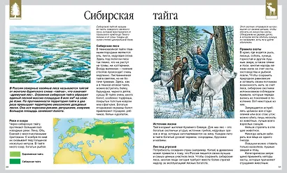 Мир леса - фото 8