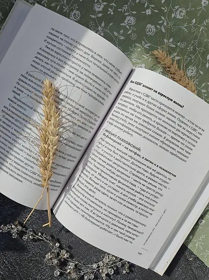 Ребенок-ракета, ребенок-ураган. Руководство по СДВГ для любящих и уставших родителей - фото 11