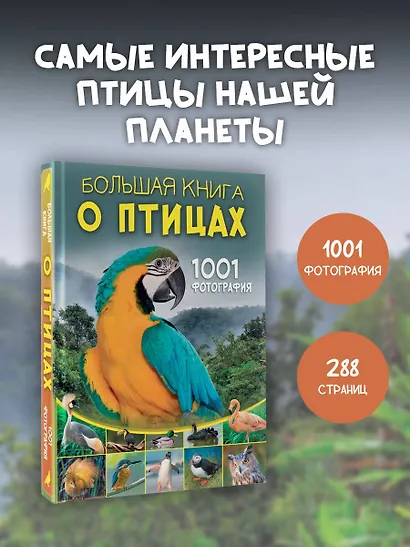 Большая книга о птицах. 1001 фотография - фото 4