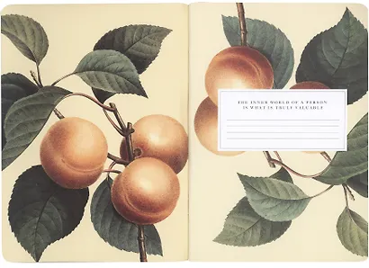 Тетрадь в клетку Be Smart, Flora, 48 листов, розовая - фото 3