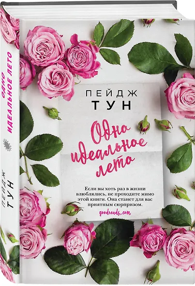 Одно идеальное лето - фото 3