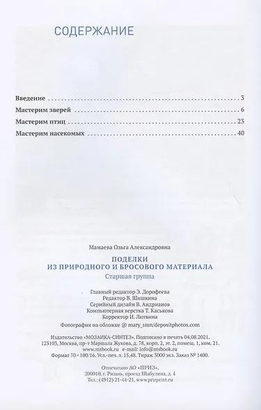Поделки из природного и бросового материала. От рождения до школы. 5-6 лет - фото 2