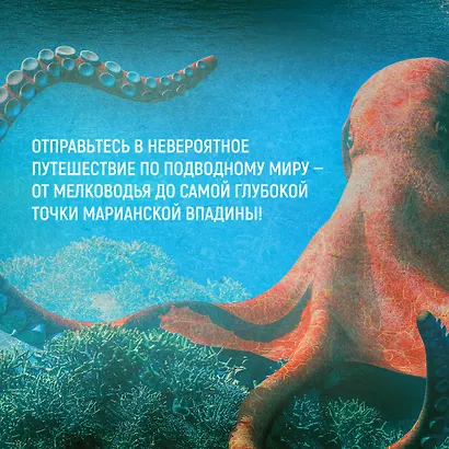 Тайны морей и океанов. Большая иллюстрированная энциклопедия - фото 8