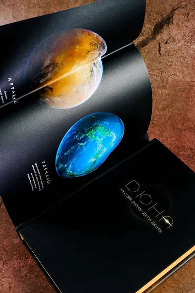 Мессия Дюны. Дети Дюны - фото 12