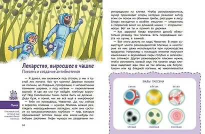 Вирусы и микробы. Детская энциклопедия (Чевостик) - фото 13