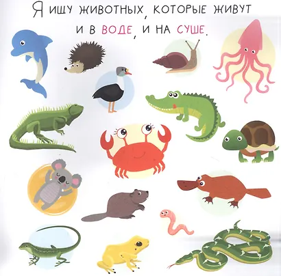 Я ищу животных - фото 3