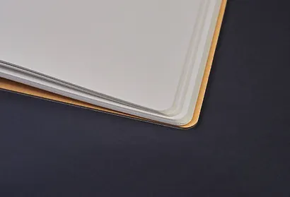 Скетчбук «Леопардовые сны», B5, 64 листа - фото 2