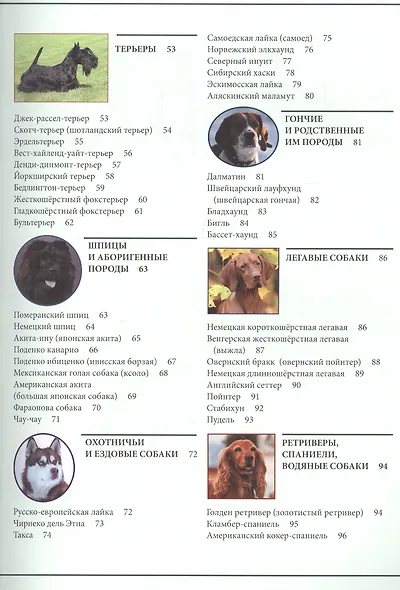 ЭНЦИКЛОПЕДИЯ. ЭНЦИКЛОПЕДИЯ О КОШКАХ И СОБАКАХ - фото 7