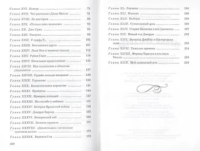 Черный красавчик - фото 4