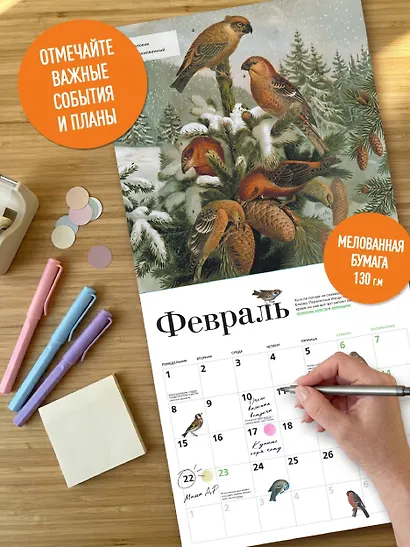 Птицы России: когда ждать, где искать, как отличать. Календарь настенный на 2027 год (300х300 мм) - фото 6