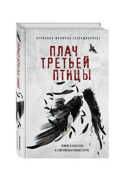 Плач третьей птицы. Земное и небесное в современных монастырях - фото 3