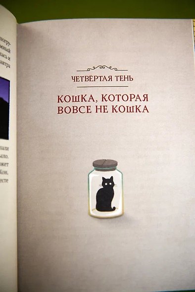 Магазин теней «Лунный свет». Книга 2. Кошка в стеклянной бутылке - фото 11