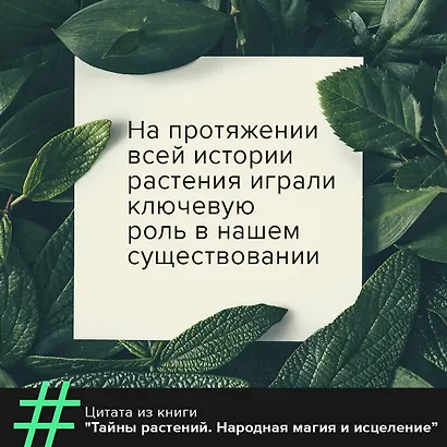 Тайны растений. Народная магия и исцеление - фото 5