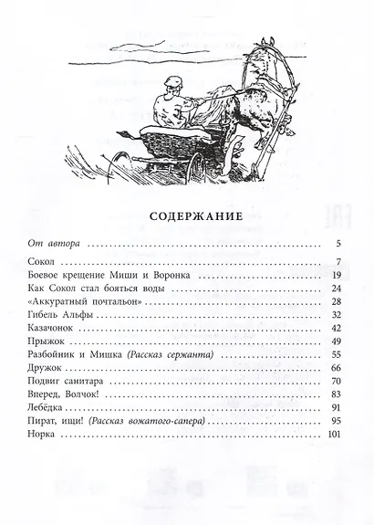 Пират, ищи! - фото 2