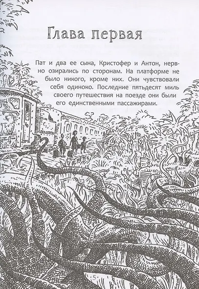 Другая земля - фото 6