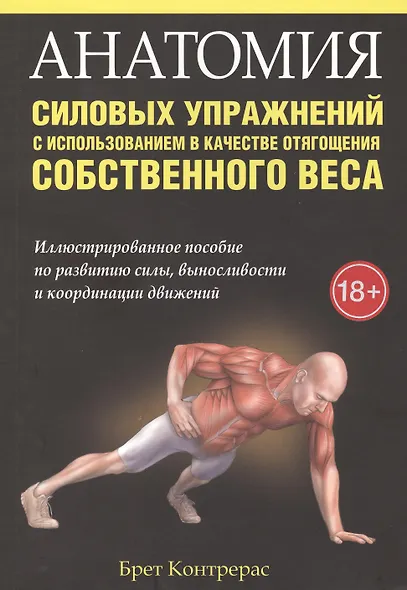 Анатомия силовых упражнений с использованием в качестве отягощения собственного веса - фото 1