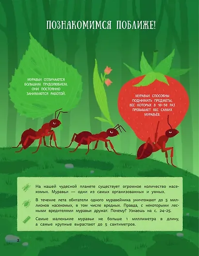 Муравьи против божьих коровок. Божьи коровки против муравьёв. Книжка-перевёртыш - фото 4