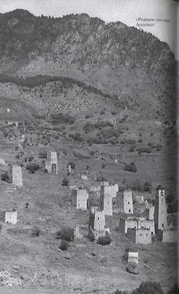 Руслан Аушев - фото 3