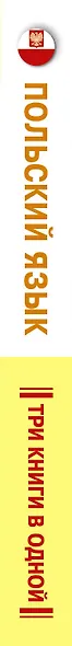 Польский язык. Три книги в одной. Грамматика разговорник словарь - фото 4