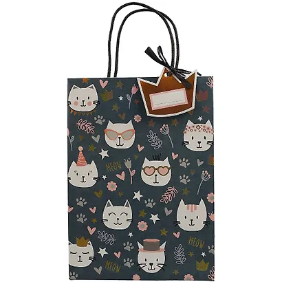 Пакет А5 25*18*8 Funny Cats дет., бум.мат.ламинат - фото 2