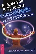 Сокровища экстаза. Путешествия по энергетическим оргазмам.Ч.1. Второе внимание - фото 1