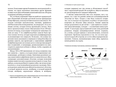 Женщина: эволюционный взгляд на то, как и почему появилась женская форма - фото 10