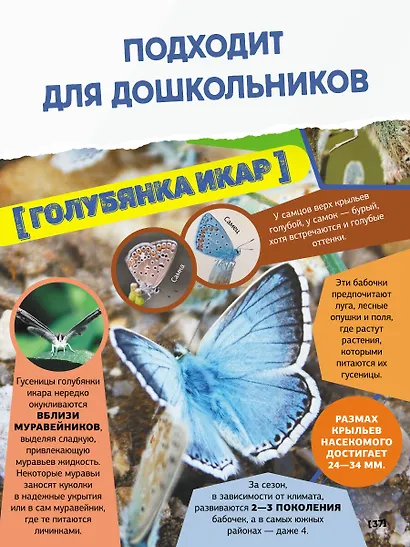 Большая энциклопедия о насекомых. 500 фотографий и фактов - фото 8