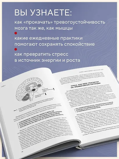 Нейроброня. Новый взгляд на работу мозга в условиях тревожного мира - фото 6