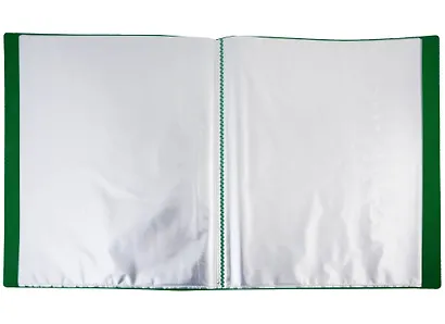 Папка 40ф А4 "STANDARD" пластик 0,6мм, зеленая - фото 2