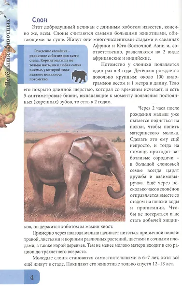 ЭНЦИКЛОПЕДИЯ. В МИРЕ ЗНАНИЙ. ДЕТЁНЫШИ ЖИВОТНЫХ - фото 2