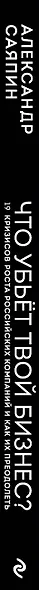 Что убьёт твой бизнес? 19 кризисов роста российских компаний и как их преодолеть - фото 5