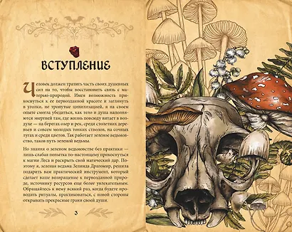 Гримуар зеленой магии. Заклинания, ритуалы и талисманы - фото 9