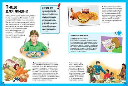 Всё о теле человека - фото 2