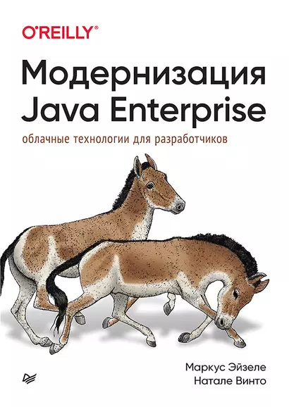 Модернизация Java Enterprise: облачные технологии для разработчиков - фото 1