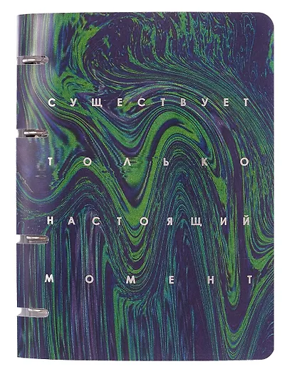 Тетрадь 100л кл. "Настоящий момент" на кольцах, пласт.обл., полноцв.печать, тиснение фольгой Серебро - фото 1