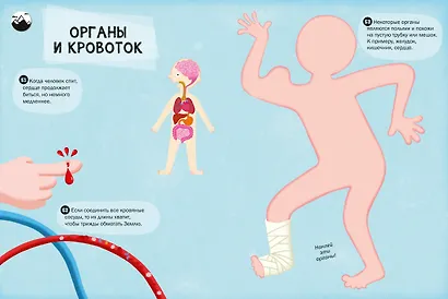 100 Интересных фактов. Мое тело. Наклей и узнай - фото 7