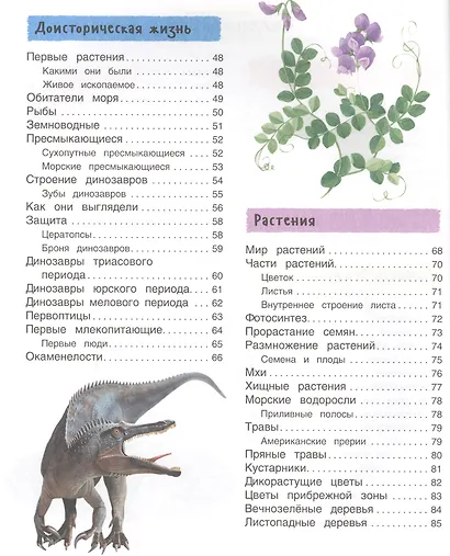 Большая иллюстрированная энциклопедия. новая - фото 3