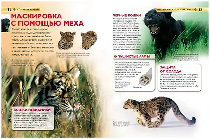 Большие кошки. - фото 3