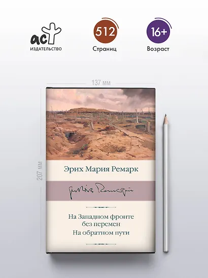 На Западном фронте без перемен. На обратном пути - фото 5