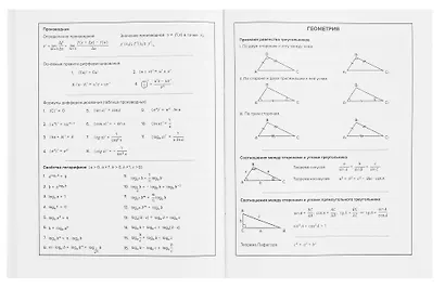 Дневник шк. "Фразы с характером. 98% имба" тв.переплет,полноцв.печать, ламинация "софт-тач" вельвет, пантон, универс.шпаргалка - фото 6