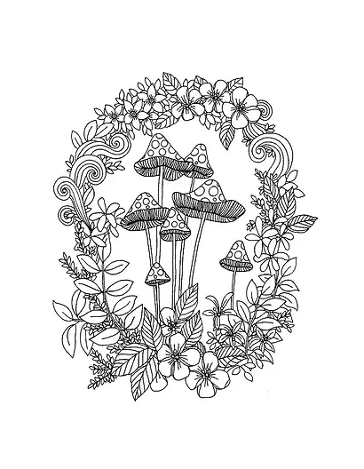 Узоры. Яркий мир природы - фото 5