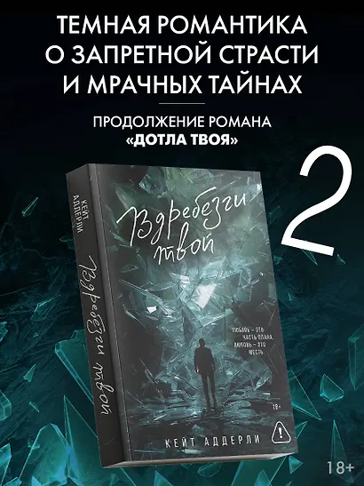 Вдребезги твой - фото 4